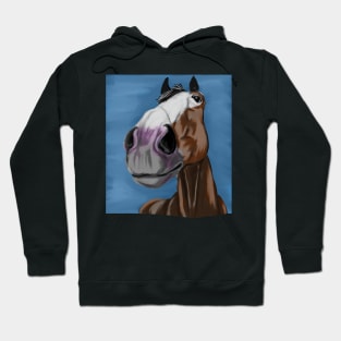 Funny horse portrait Hoodie